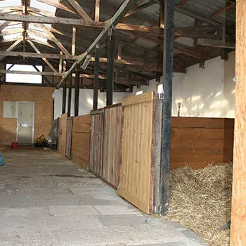 Box ohne Paddock